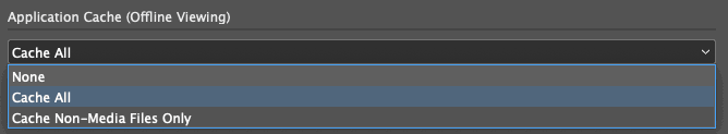 offline cache options